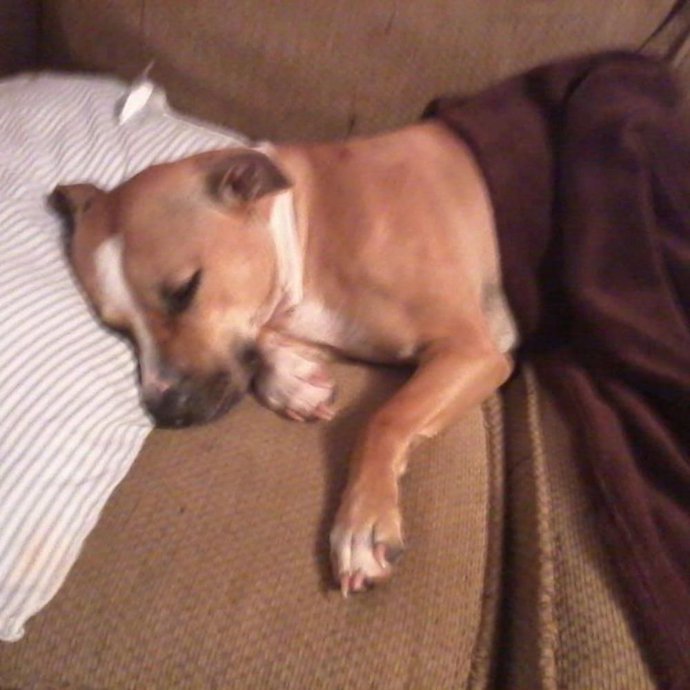 Meet your Posher, Nataya